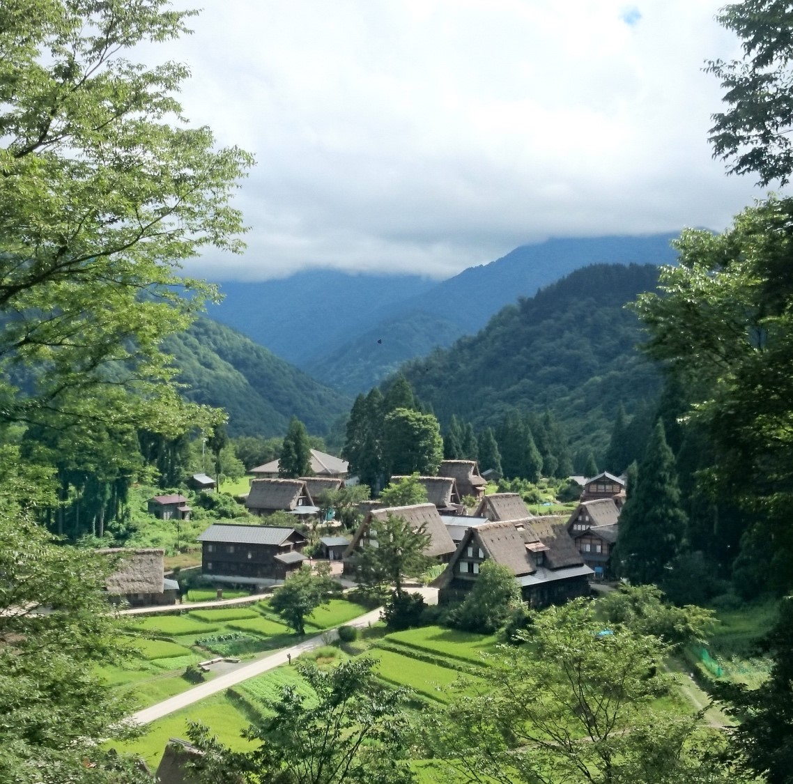 森の中の道と山の景色自動的に生成された説明